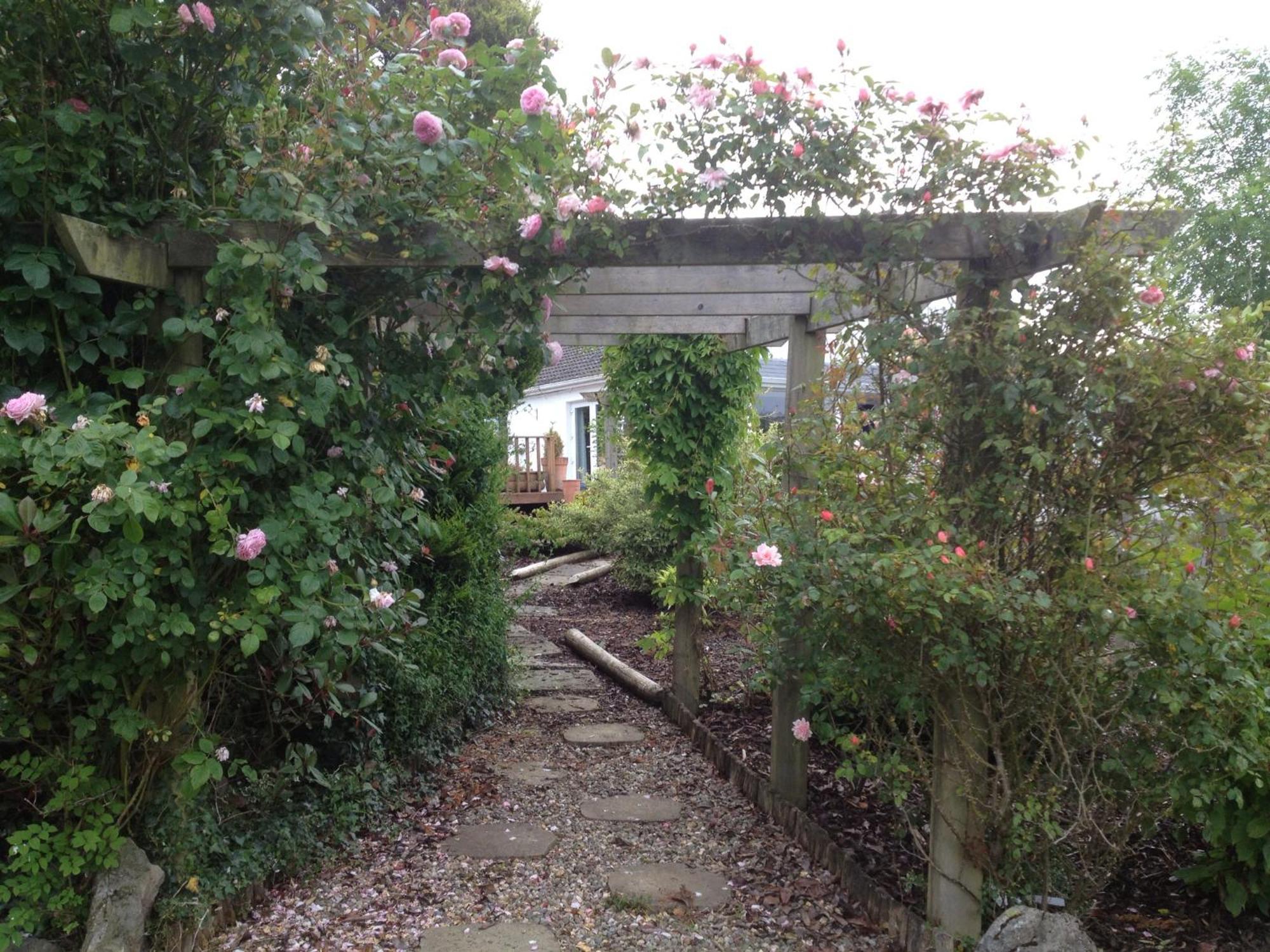 The Cottage @ Burkedale House Corofin  Экстерьер фото